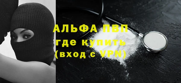 эйфоретик Баксан